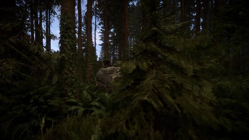 Game capture image from Sons of the Forest showing a dense forest with a creepy figure crawling atop a big boulder